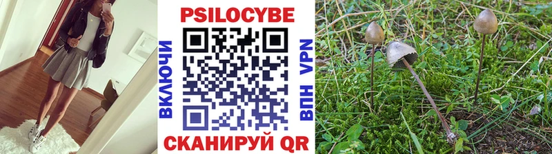 Купить закладки  Новочебоксарск  Галлюциногенные грибы ЛСД 